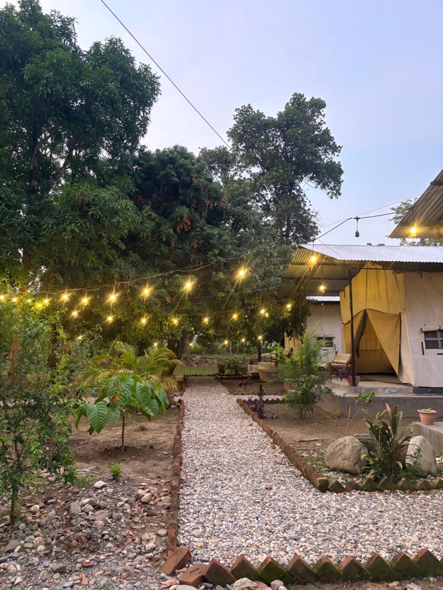 Hotel Tharu Garden And Beer Bar Chitwan Exterior photo